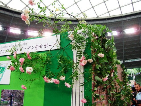 DSCF1123.JPG