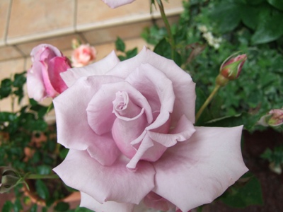 DSCF1079.JPG