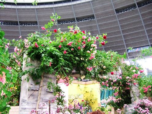 DSCF1112.JPG