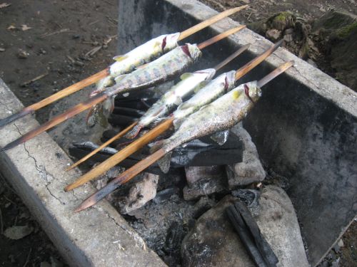 hirame2.jpg
