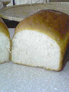 pan141