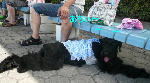 限界です・・・