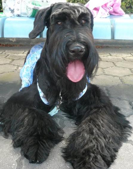 ペット博へ・・・