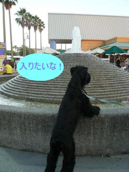 ジャズドリーム長島