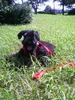 初めてのお散歩♪