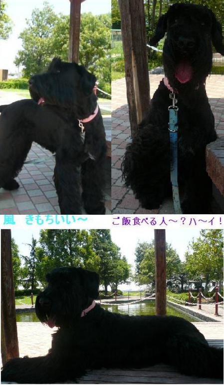 近くの公園で・・・