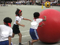 IMG_1036.JPG