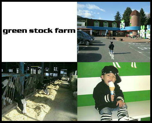 green3.JPG
