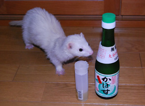 かぼすリンスチェック中