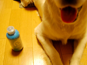 ホワイティシャンプー350ml