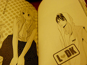 L・DK（1）