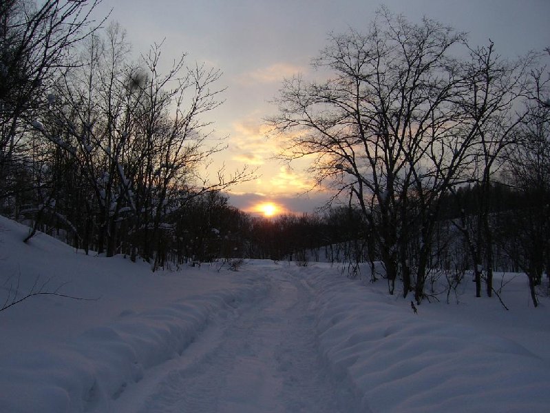 冬の夕日