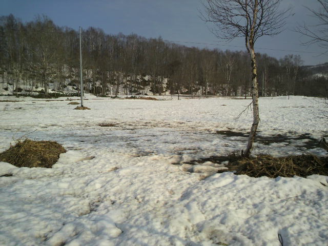 雪解け直前の美深農苑