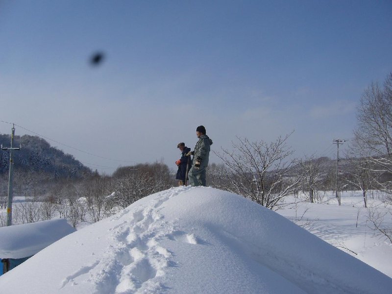 屋根の上から