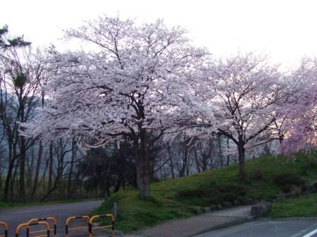DSCF6437.JPG