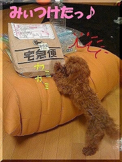 カミカミマン