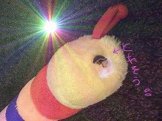 ピカァン