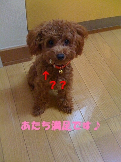 満足メロ