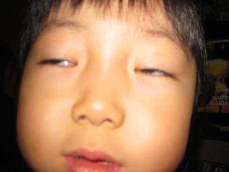 saki