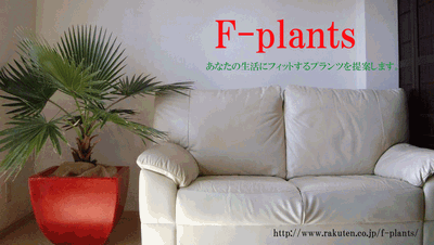 F-plants ブログ用