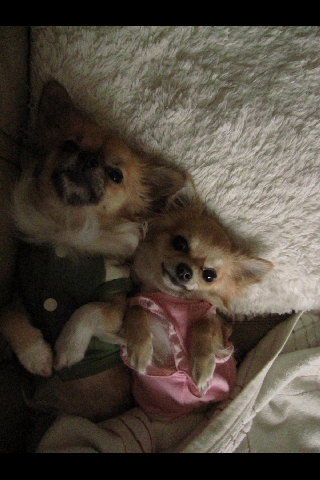 DSC00023.jpg