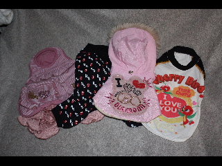 DSC00015.jpg