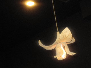 DSC00047.jpg