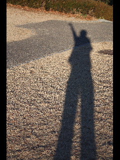DSC00017.jpg