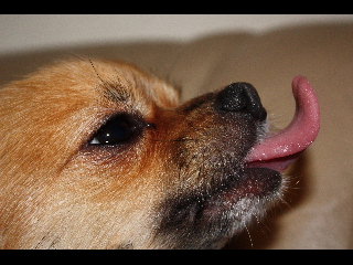 DSC00041.jpg