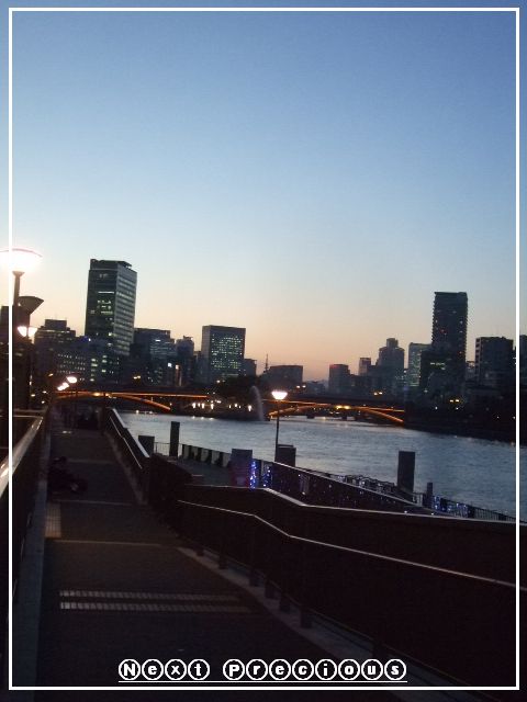 コピー ～ 2010_022428420080460.JPG