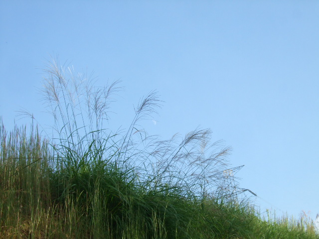 2009_092728420080474.JPG