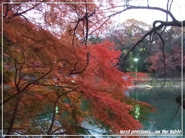 コピー ～ 2009_112928420080480.JPG