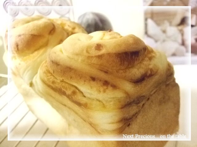 コピー ～ 2009_112928420080498.JPG