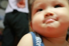 IMG_8073 - F883iES.jpg