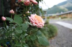 IMG_6735 - F883iES.jpg