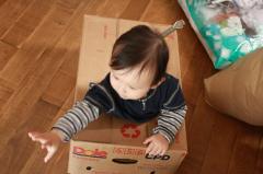 IMG_9783 - F883iES.jpg