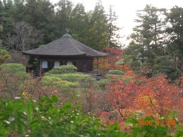 京都９