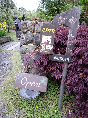 森のガーデンカフェ