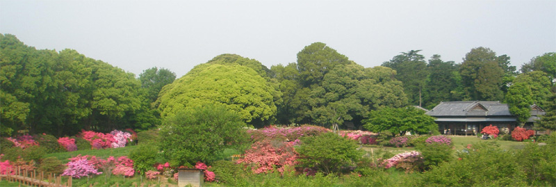 花山第２公園