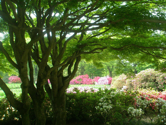 花山第２公園　・