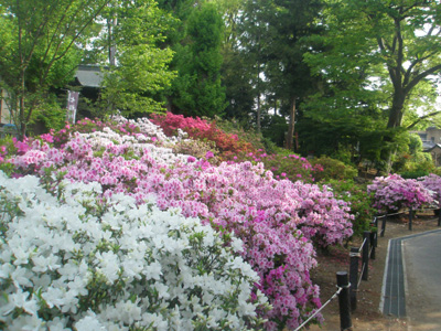 尾曳神社・