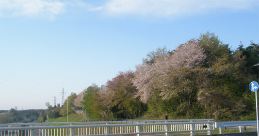 あさかのバイパス