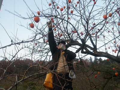 伊達市御代田大平
