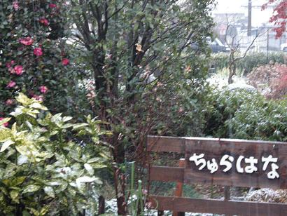 画像 004.jpg