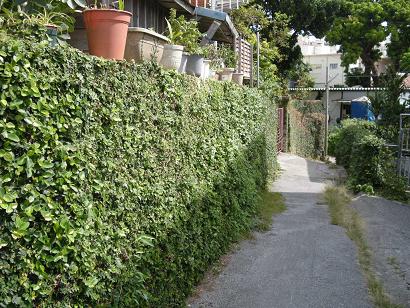 裏路地（戦災から逃れられた：奇跡）