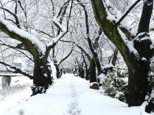 雪２