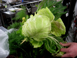 野菜