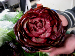 野菜5