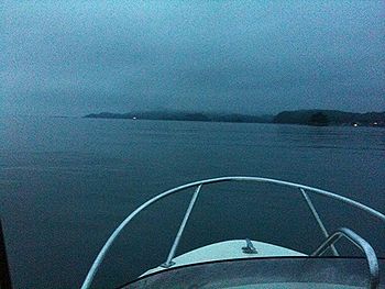 20110618b.jpg