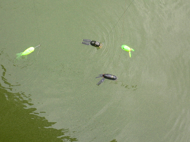 P1030408.JPG